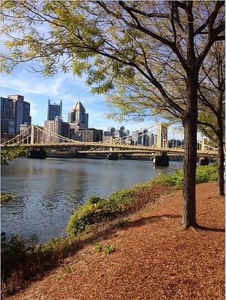 Alz Walk nature